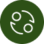 Right Mark Icon