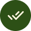 Right Mark Icon